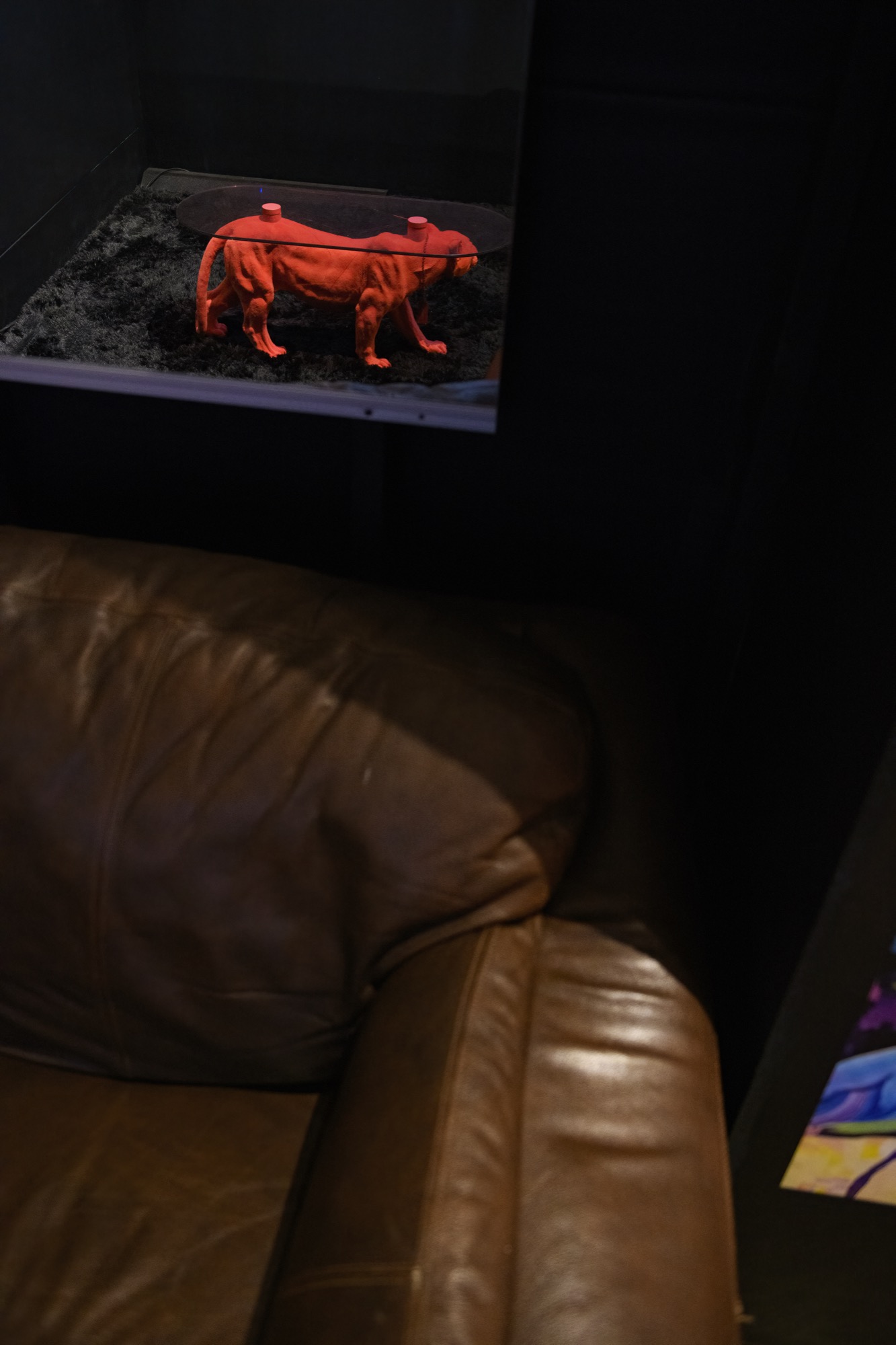 Extra/phenomenalities installation 7