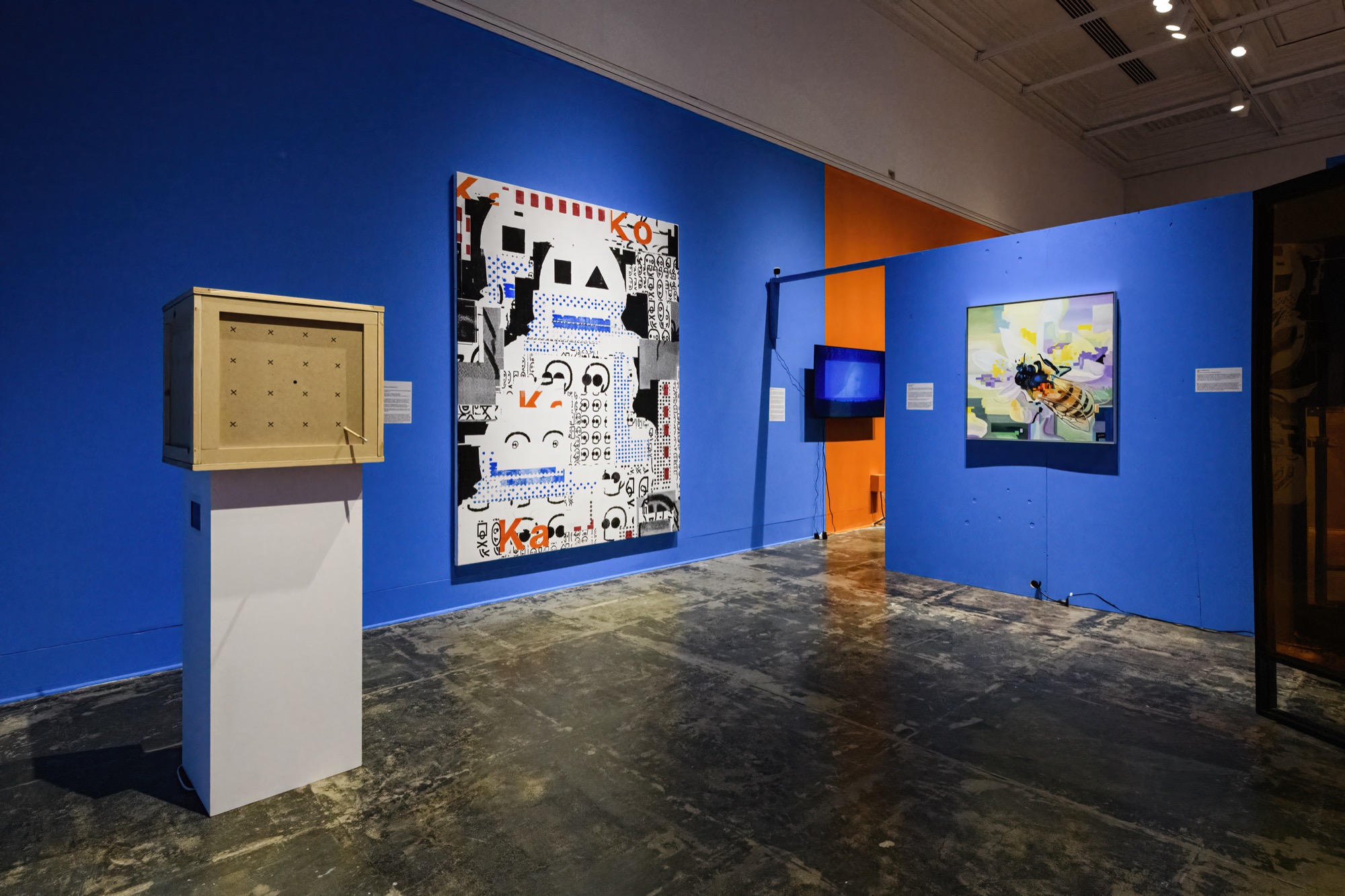Extra/phenomenalities installation 12