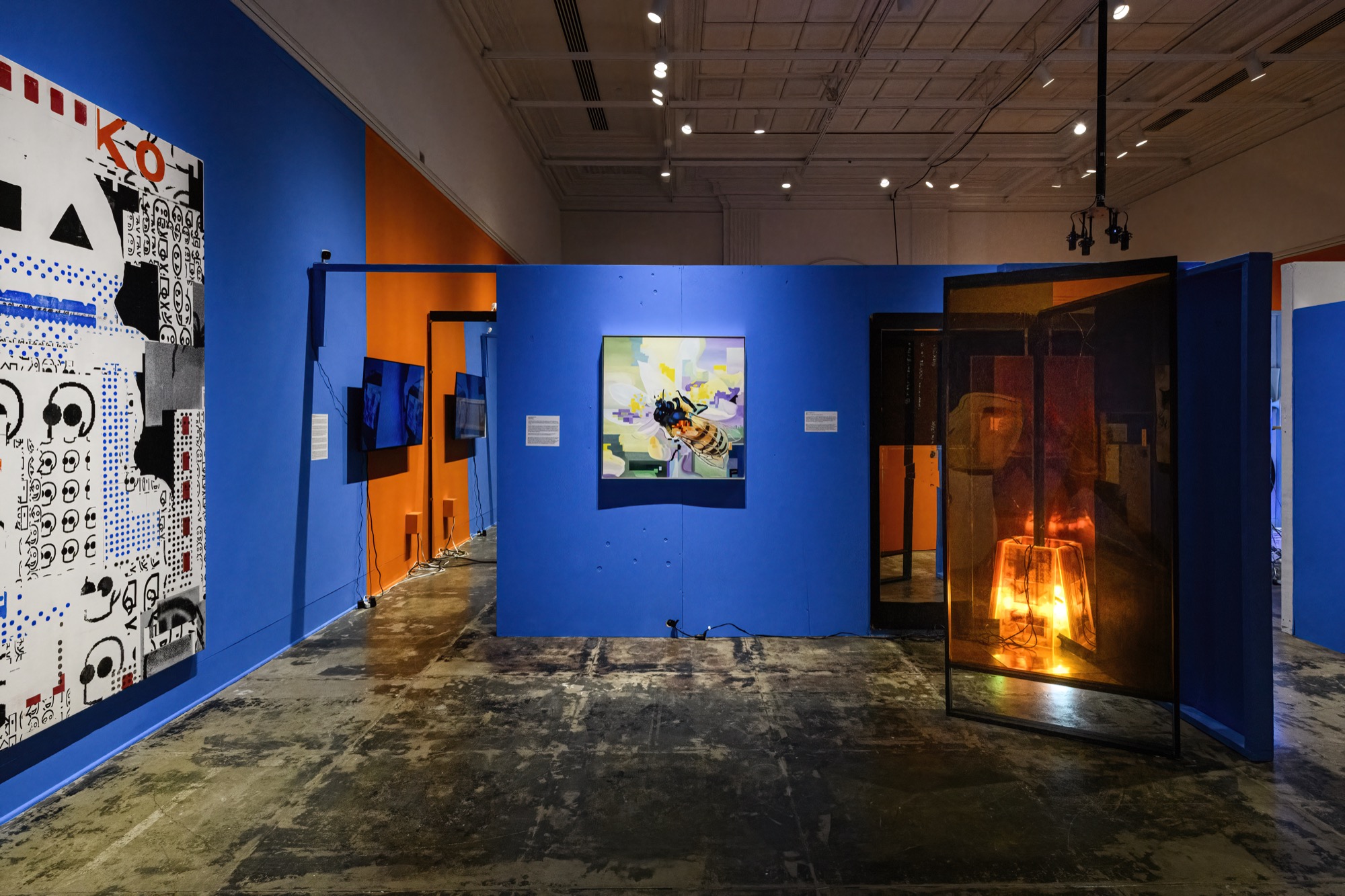 Extra/phenomenalities installation 13