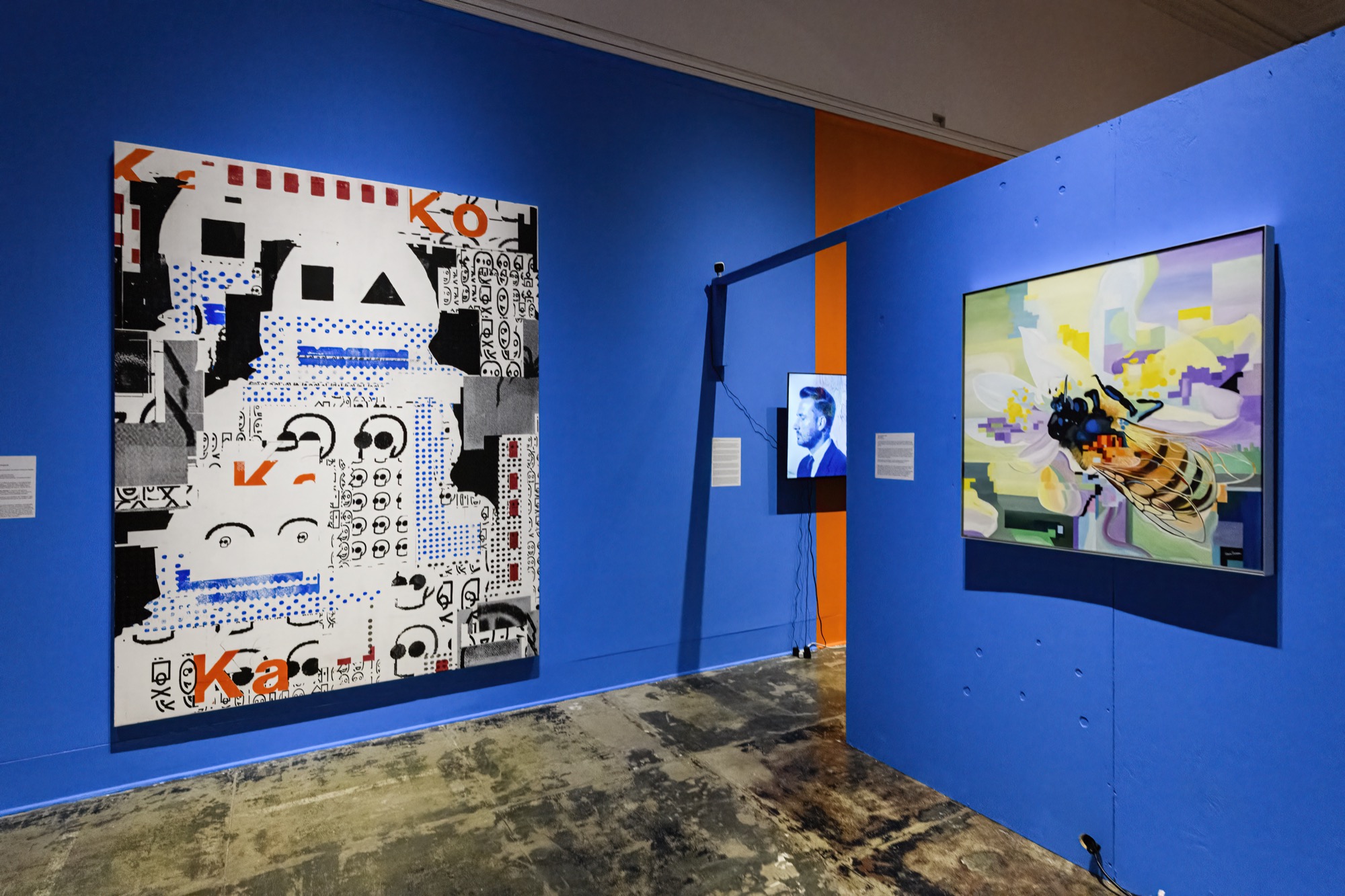 Extra/phenomenalities installation 14