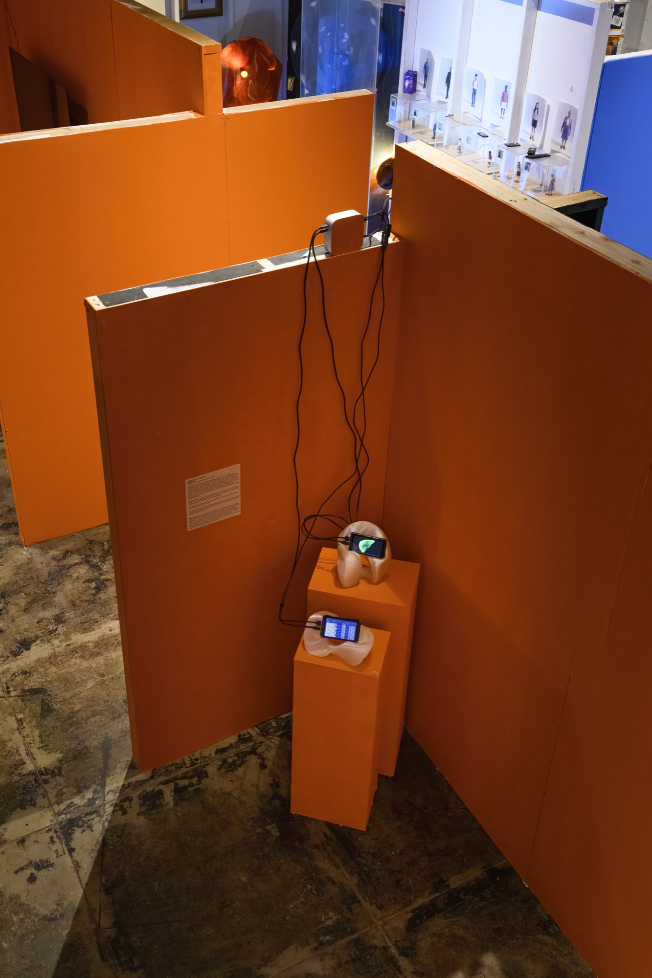 Extra/phenomenalities installation 28