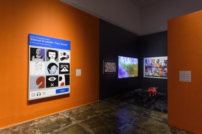 Extra/phenomenalities installation 29