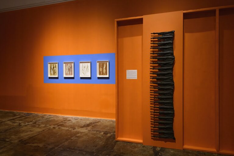 Extra/phenomenalities installation 31