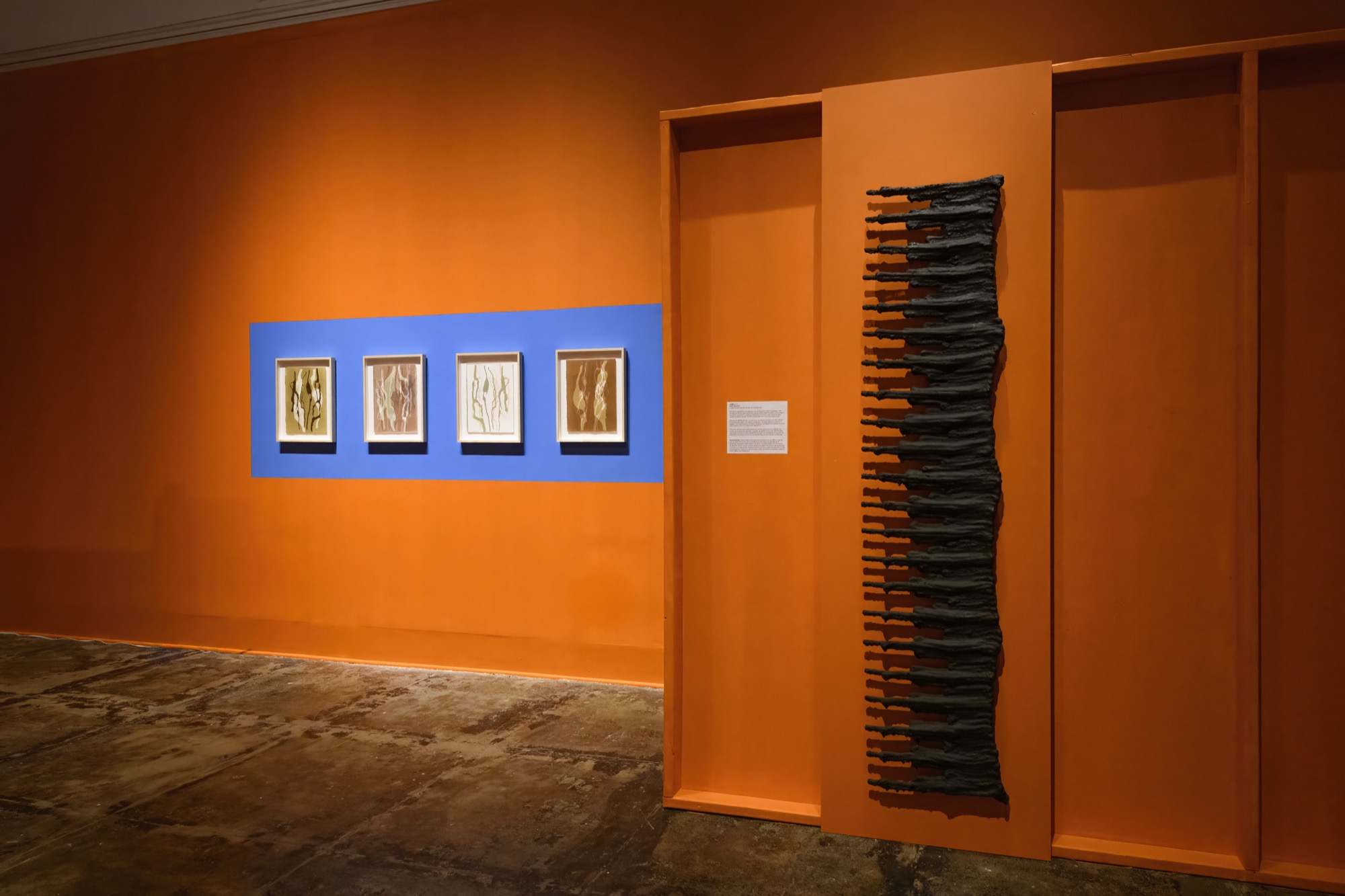 Extra/phenomenalities installation 31