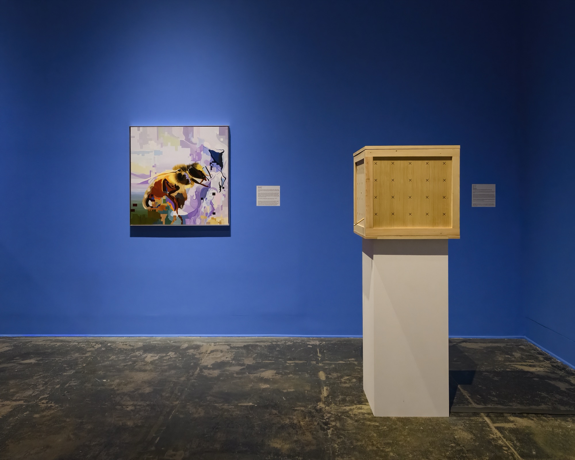 Extra/phenomenalities installation 35