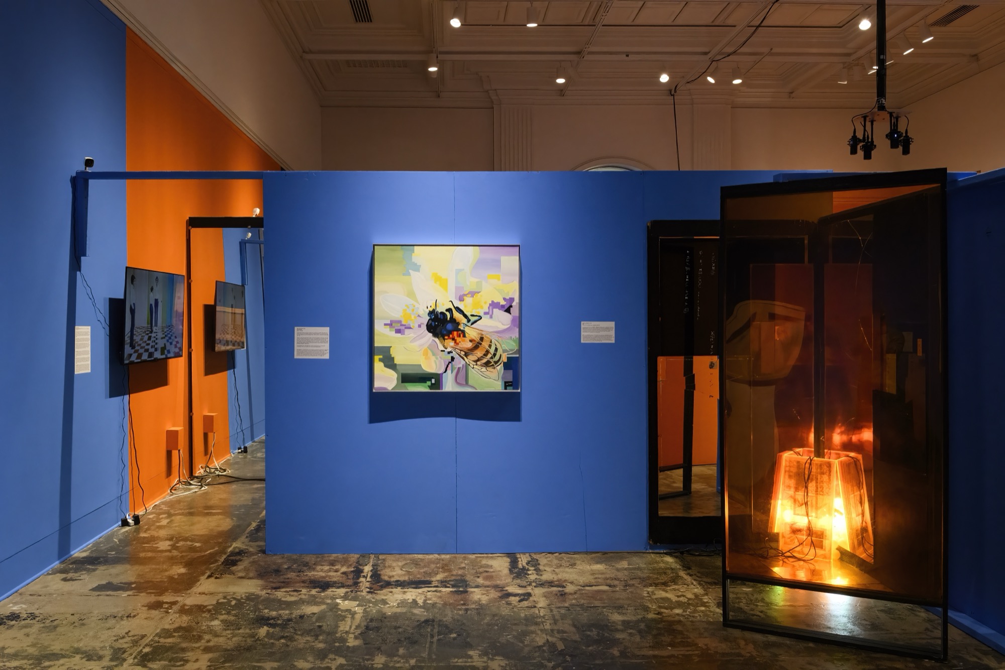 Extra/phenomenalities installation 37
