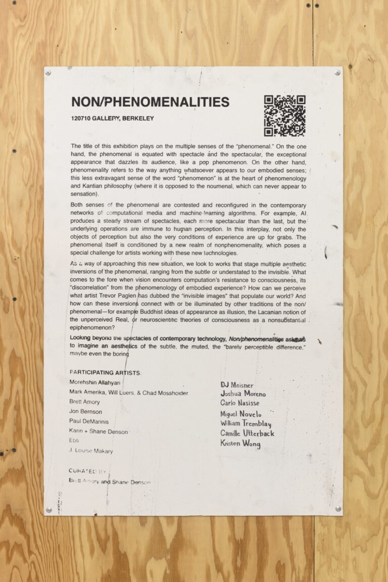 Non/phenomenalities Phase 2 installation 22
