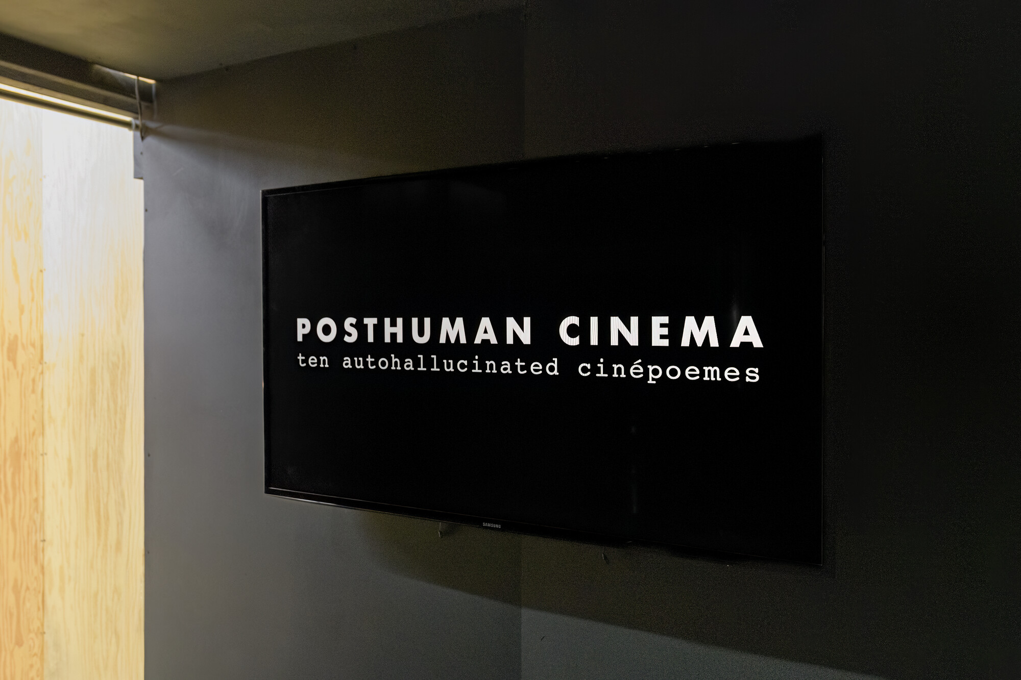 Mark Amerika – Posthuman Cinema