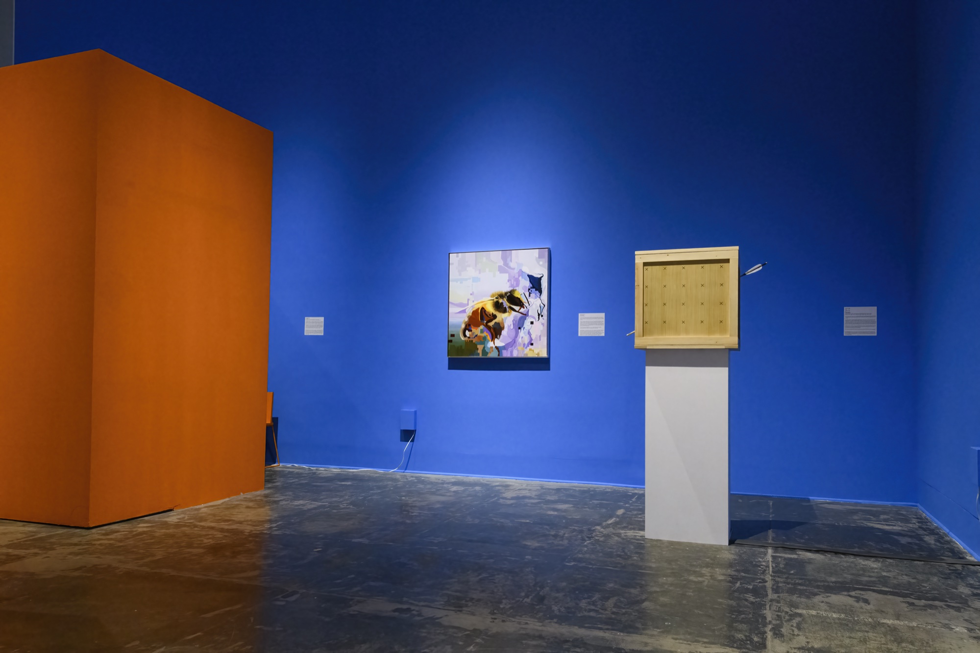 Extra/phenomenalities installation 47